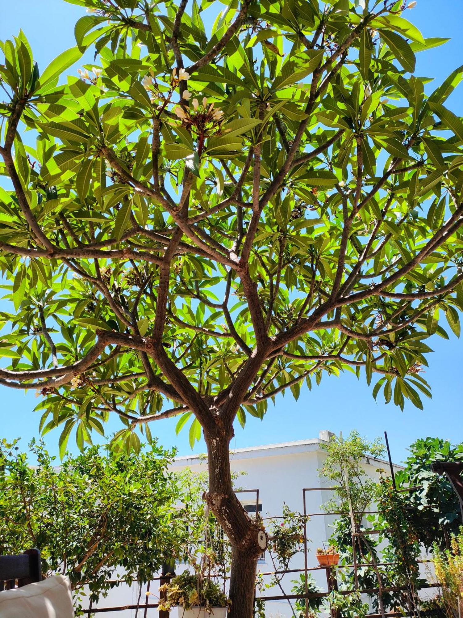 Sky-Line Apartments Afantou Ngoại thất bức ảnh