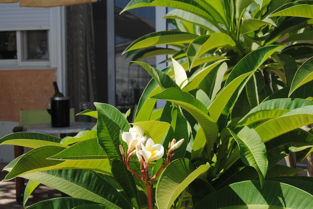 Sky-Line Apartments Afantou Ngoại thất bức ảnh