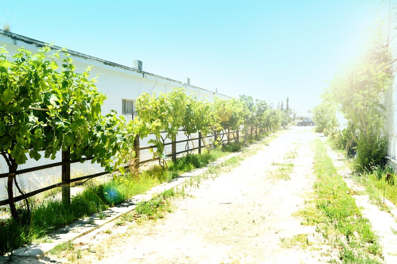 Sky-Line Apartments Afantou Ngoại thất bức ảnh